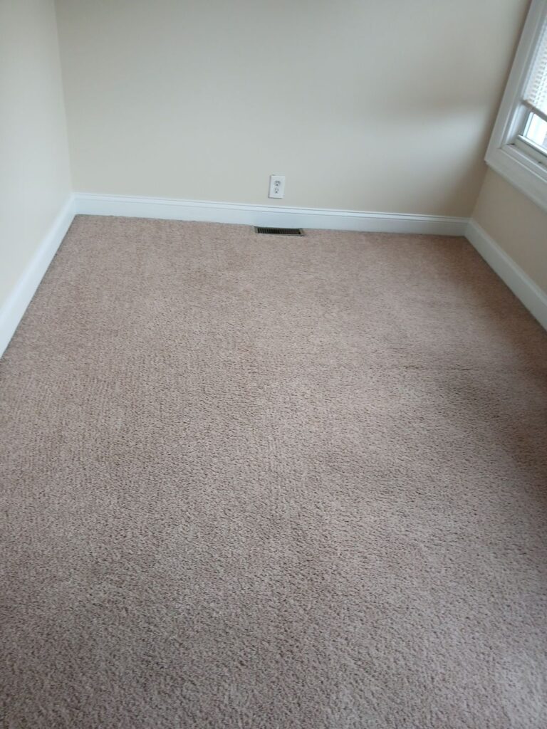 Carpet cleaning results in Lorton, VA