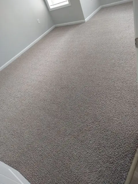 Carpet cleaning results in Lorton, VA